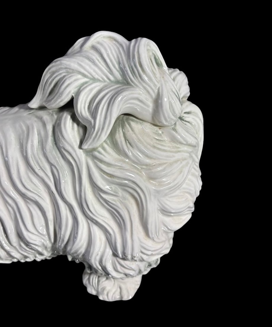 6a829edb80278e0ce5325cf9