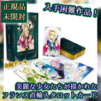 【フランス語】Le tarot des merveilles【タロットカード】