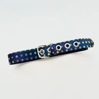 colorful dot belt