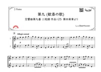 「第九（歓喜の歌）Long Ver.」フルート二重奏［MM5]パート譜付き【wakopアレンジ】