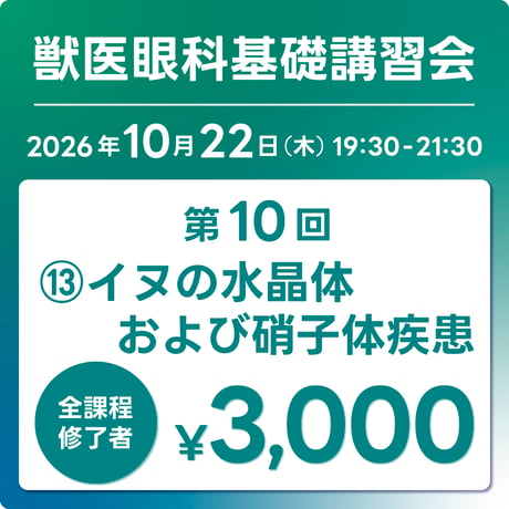 日本獣医眼科カンファランスJVOC