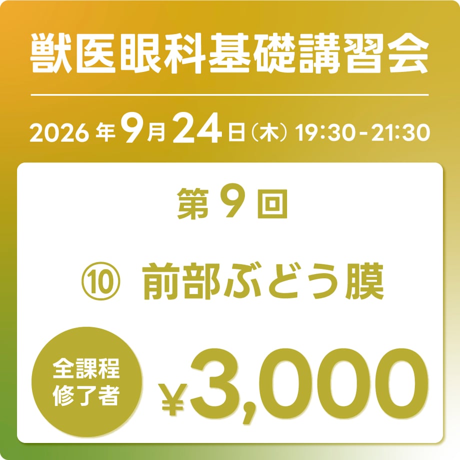 6a90d4685d2d4e9908e29a26