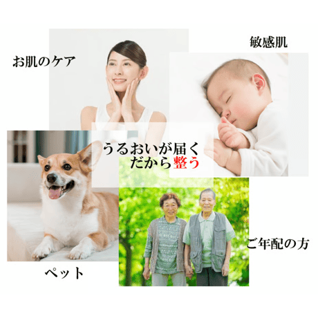 野口総合研究所 カタライザーミストスプレー 100ml