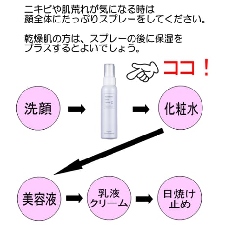 野口総合研究所 カタライザーミストスプレー 100ml