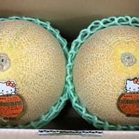 究極のメロン「ユウカメロン2玉」(M)※（アムさんメロン）※クール便発送