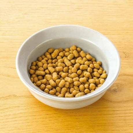 【おまけ付き】 dotwan ドットわん 豚ごはんお得用パック 3kg（1kg×3）