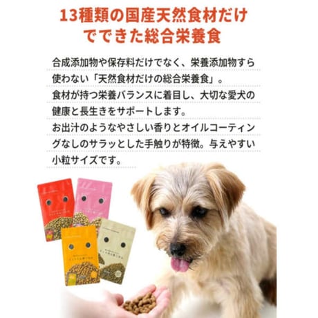 【おまけ付き】 dotwan ドットわん Red mind お得用パック 3kg（1kg×3）