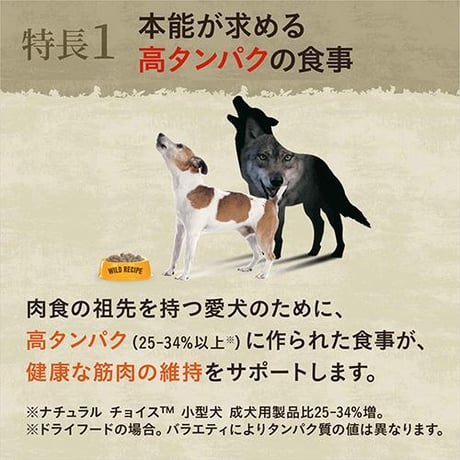 ●定期便●ニュートロ ワイルドレシピ 超小型犬〜小型犬用 成犬用 ビーフ ４kg