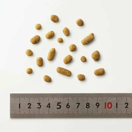 【おまけ付き】 dotwan ドットわん 豚ごはんお得用パック 3kg（1kg×3）
