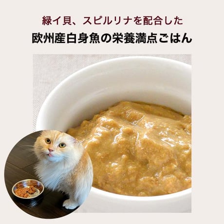 Bioliob ビオリオーブ キャット ホワイトフィッシュ・ディッシュ 80g /80g×12セット 猫のごはん キャットフード ウェットフード レトルト トッピング
