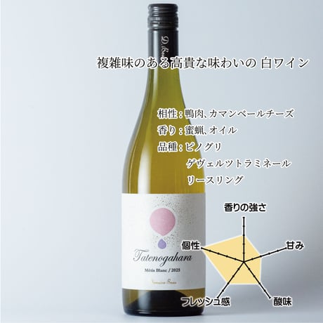 立野原 メティス ブラン 2025