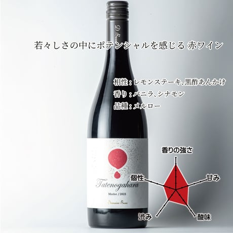 立野原 メルロー 2023