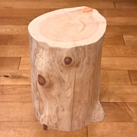 Pet Table Hinoki 】 No.1479 | Wood Factory Silky