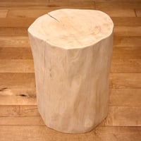 【Pet Table Hinoki】　中型犬用　No.1737 Pet Table Hinoki】 中型犬用 No.1737 | Wood Factory Silky