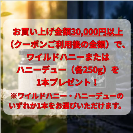 お買い上げ金額3万円以上（クーポンご利用後の金額）で、ワイルドハニーまたはハニーデュー（各250g）を1本プレゼント！