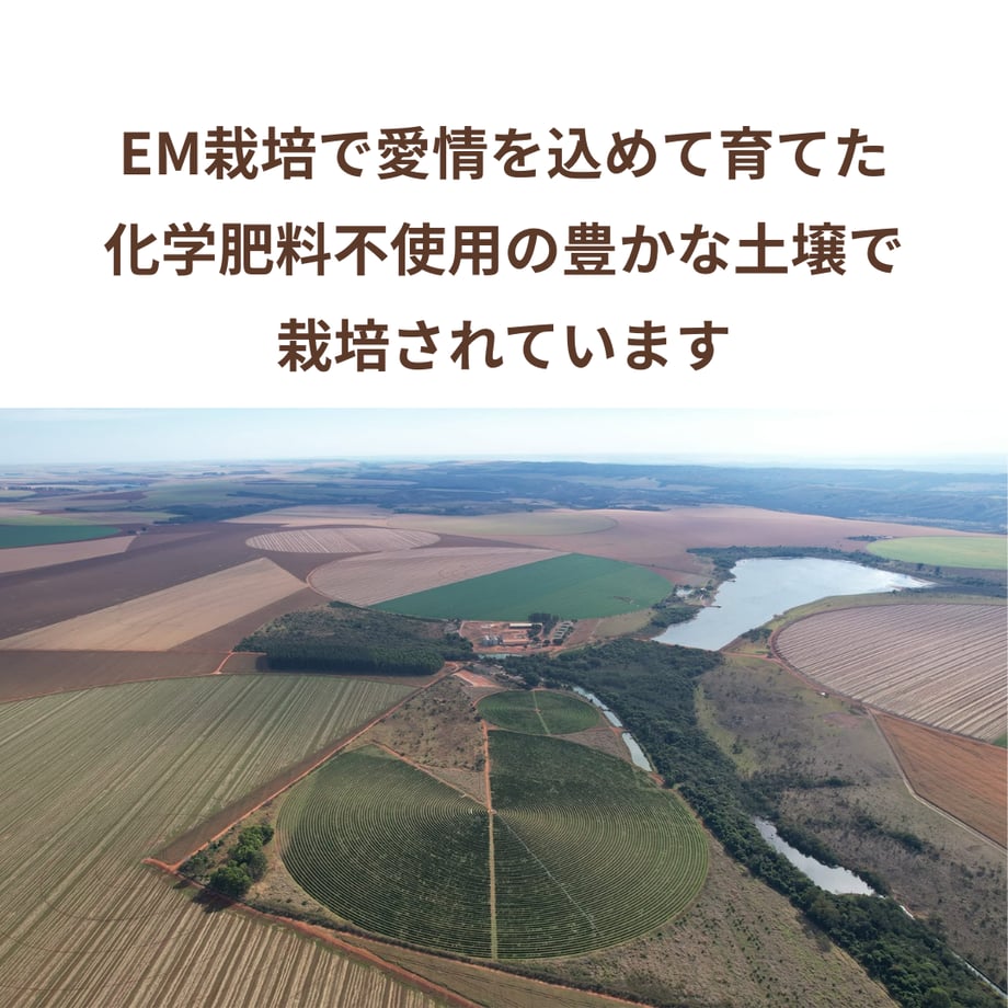 6a5daf5b3fed3c9d3b66cef1