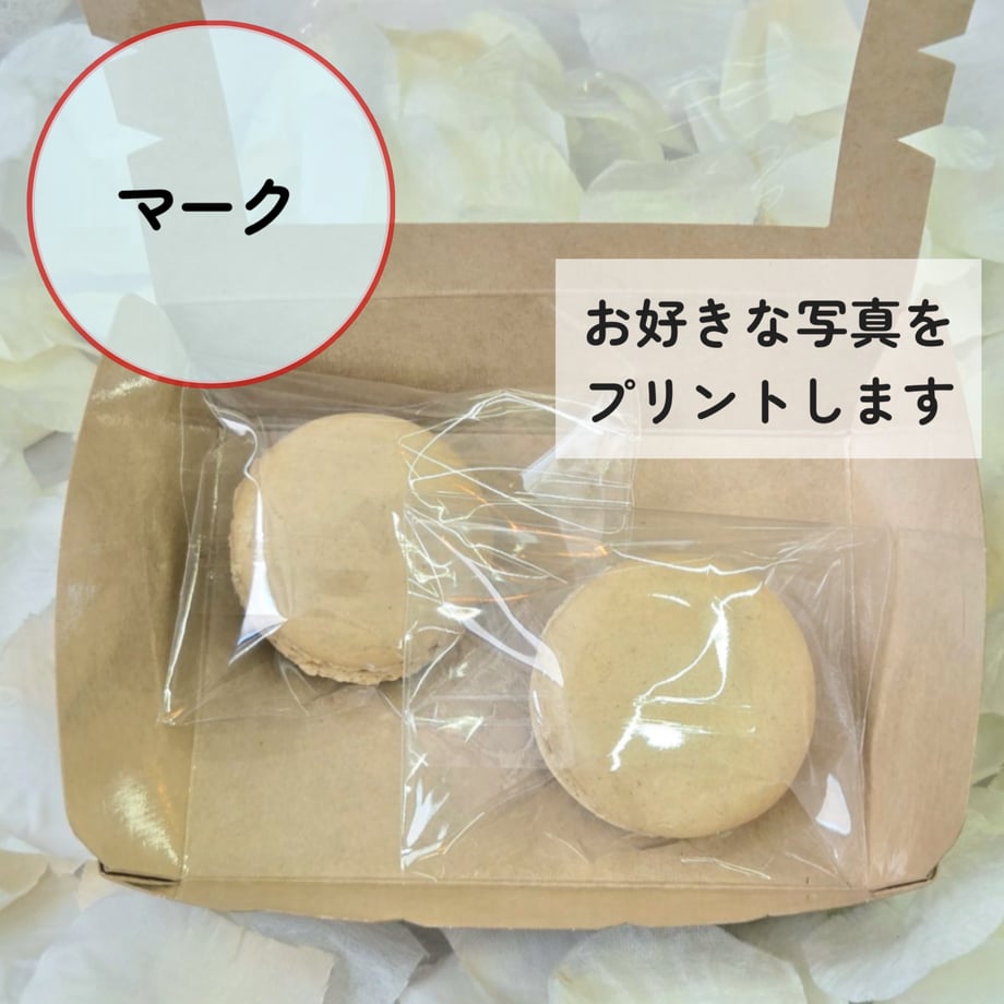 6a69e61169f94d15a372ff65