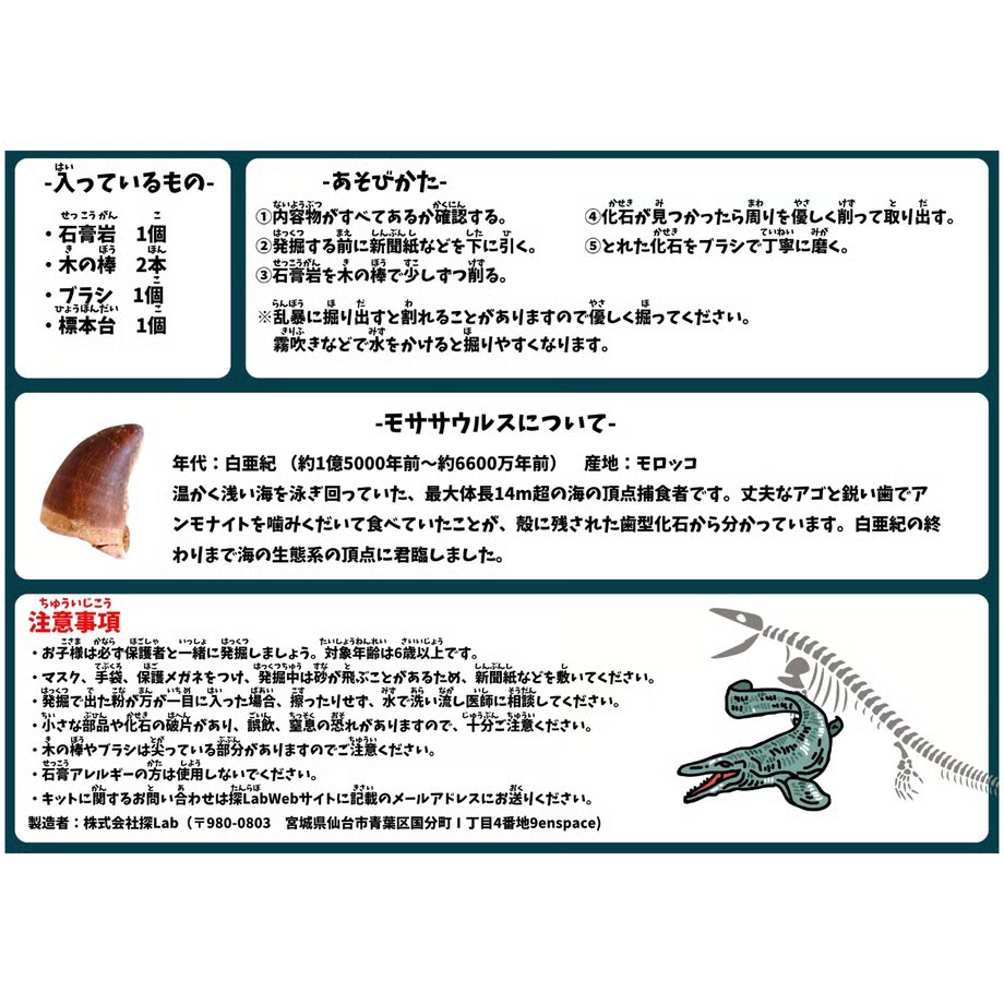 6a6226254dcf6e969a06be2e