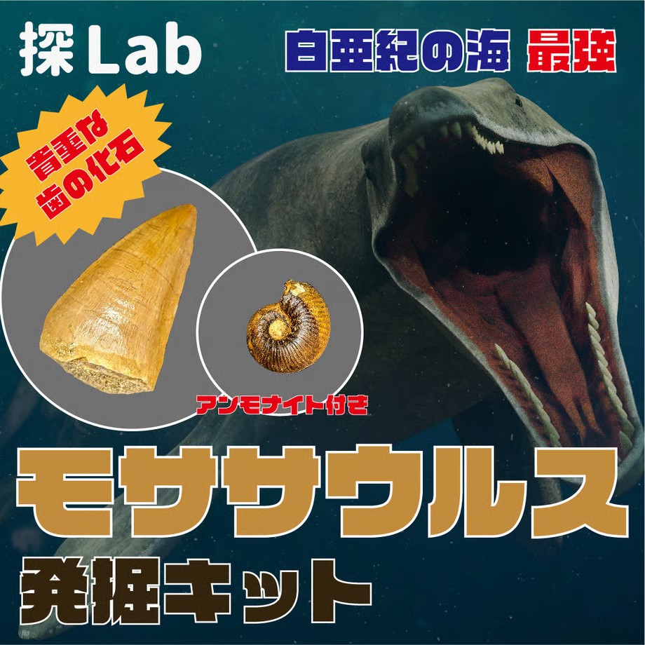 6901db500b01f531ff41a35c