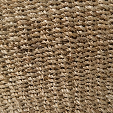 VENUS BAG