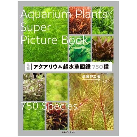 ITEM | water plants lover