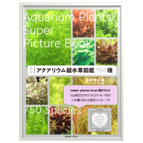 ゆ水草 ITEM | water plants lover