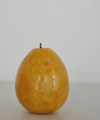 Pomona🍐🥥