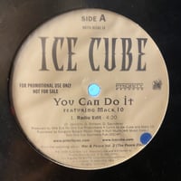 ICE CUBE / You Can Do It (12inch)