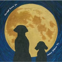 【LP】ウラジミール・シャフラノフ・トリオ/ムーンライト・ビカムズ・ユー [VHJD-223]