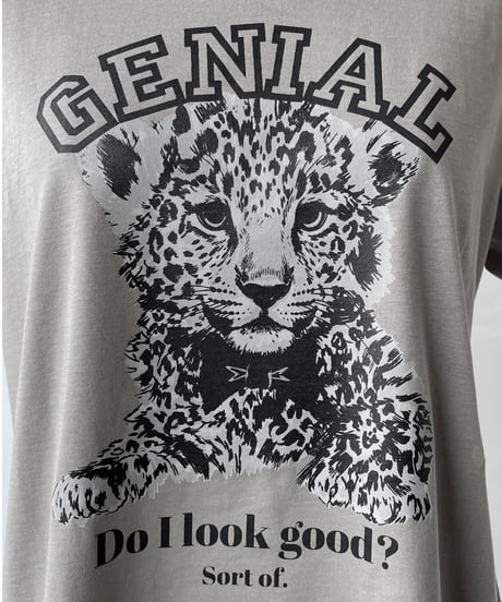 anana　GENIALアニマルプリントTee（新色グレーカーキ）