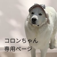 【オーダー】コロンちゃん　わんバイザー
