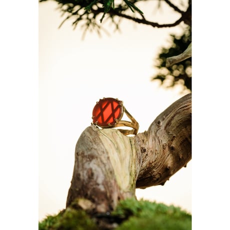 VONLOVI "RING"