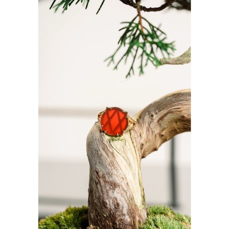 VONLOVI "RING"
