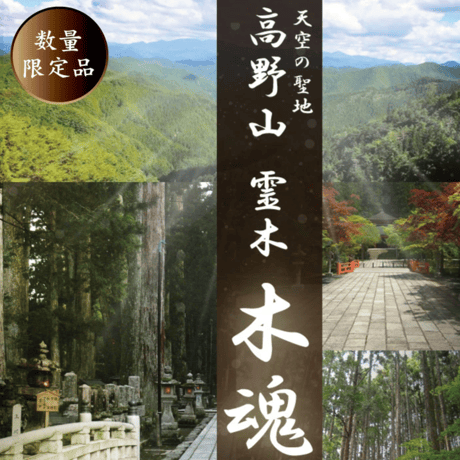合格者 先着10名
