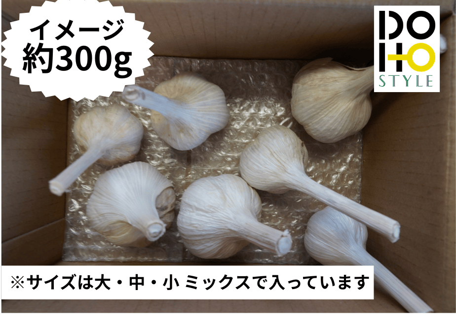 6a632e55d5cfeb0dcd16205c