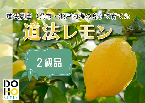 【2級品】DOHO STYLE 道法レモン