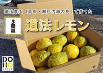 【３級品】DOHO STYLE 道法レモン