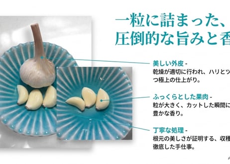 DOHO STYLEにんにく　（愛知県産）