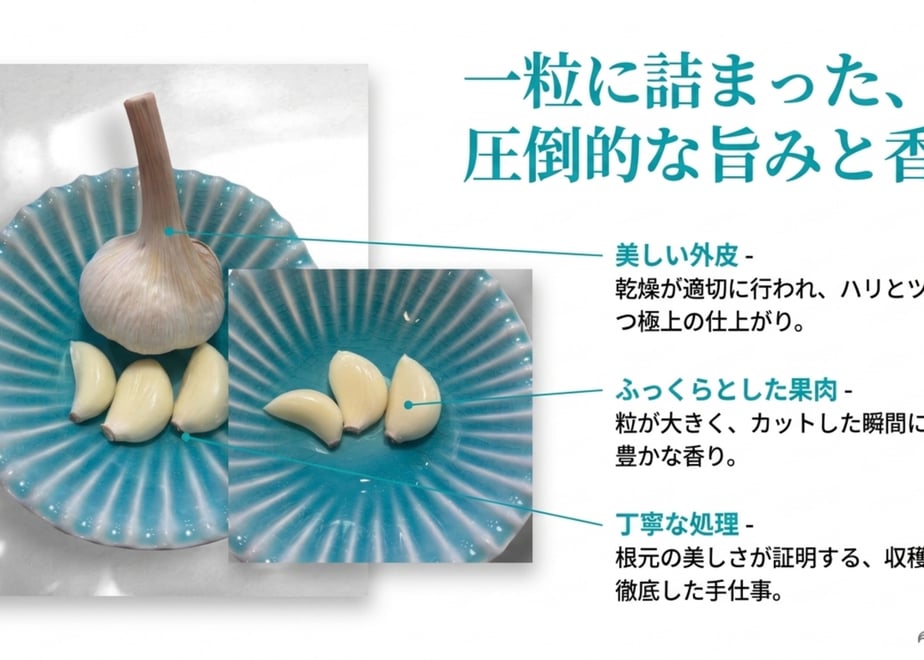 6a632e55d5cfeb0dcd16205c