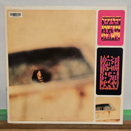 (LP)LENNY KRAVITZ /ARE YOU GONNA GO MY WAY 1993US 盤ORIGINAL LP NEAR MINT ほぼ未使用盤