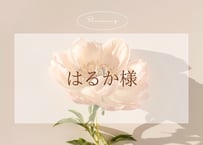☺︎はるか様☺︎