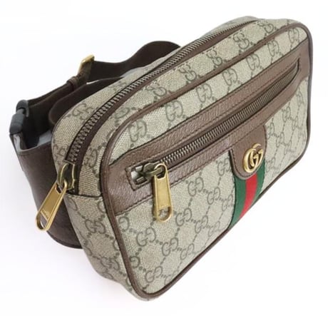 Gucci Ophidia Belt Bag #31954