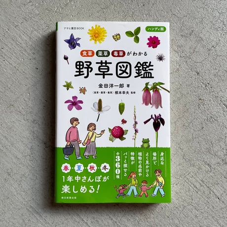 [古本]  ハンディ版 さんぽで見られる野草図鑑 ｜ 金田 洋一郎