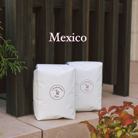 メキシコ　サンタ・テレサ　ナチュラル　浅煎り　1kg
