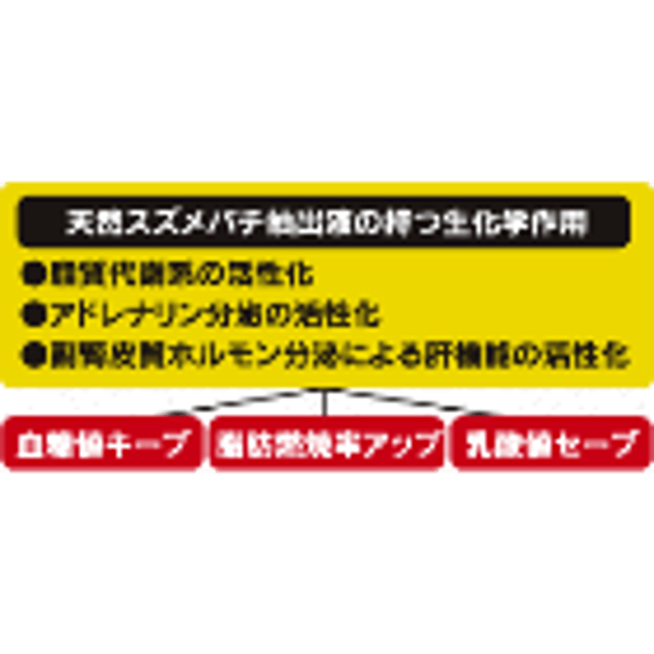 612c8604b6714e4237978da8