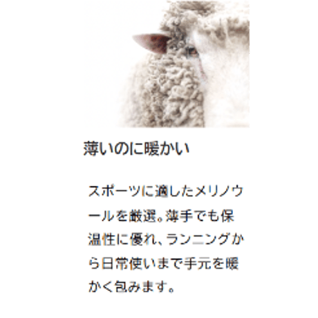 R×L アールエル / メリノ グローブ ライト