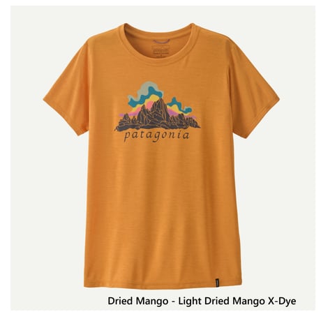 patagonia パタゴニア / CAP COOL DAILY SHIRT キャプリーン・クール・デイリー・シャツ [ウィメンズ] 《FIZTROY NIMBUS》