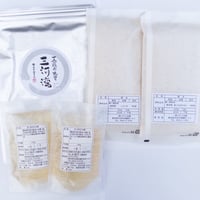 【手巻き寿司セット】　※当たりが出たらモンステラ福助、NAMAKEMONO！