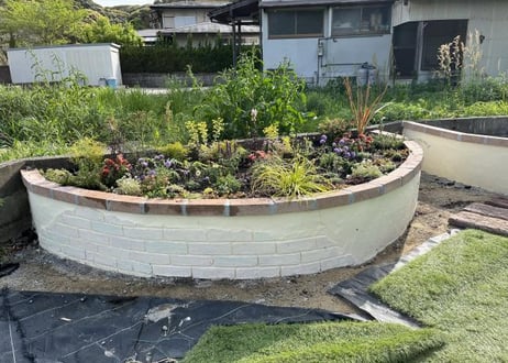 【飯塚市近郊限定】胡蝶蘭・観葉植物の大鉢33,000円でおまかせ