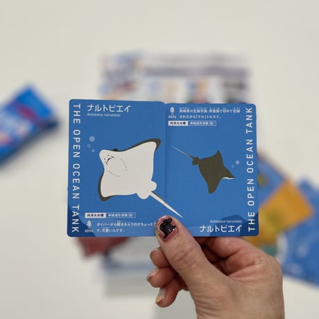 オリジナルカードゲーム　飼育員衰弱